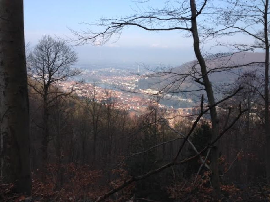 Weinheim nach Rottweil (Schwarzwald MTB-Weg)