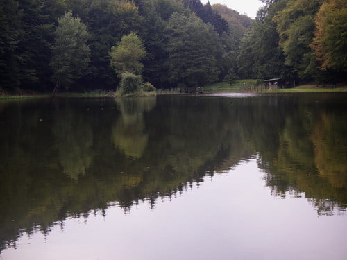 Wiesbaden - Platte - Hohe Kanzel - Waldsee - WI