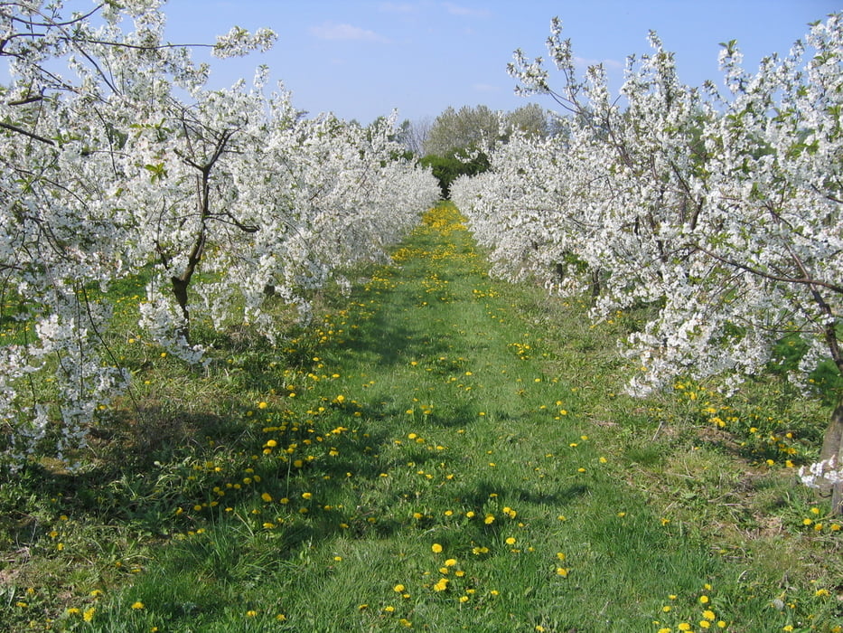 Brotpfad und Beuelskopf