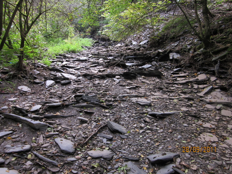 durch die Baybachklamm zur Burgruine Waldeck