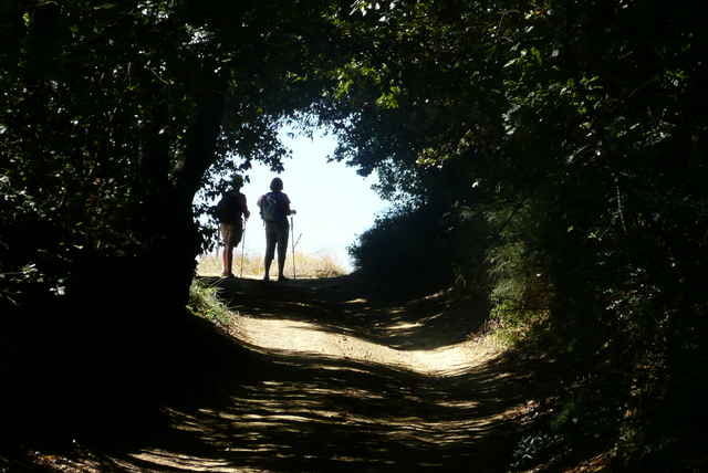 Rundtour bei San Gimignano