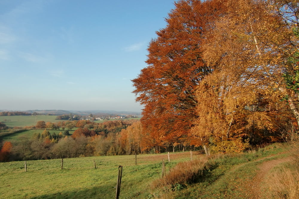 Schalksmühle Halverscheid Glörtalsperre