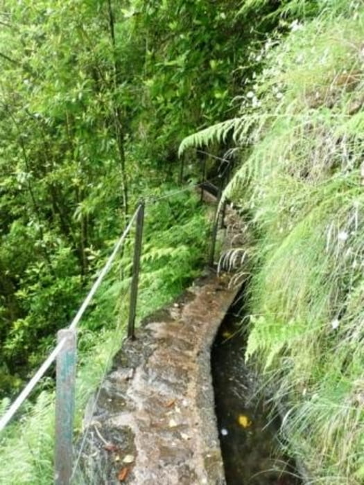 Levada do Credos
