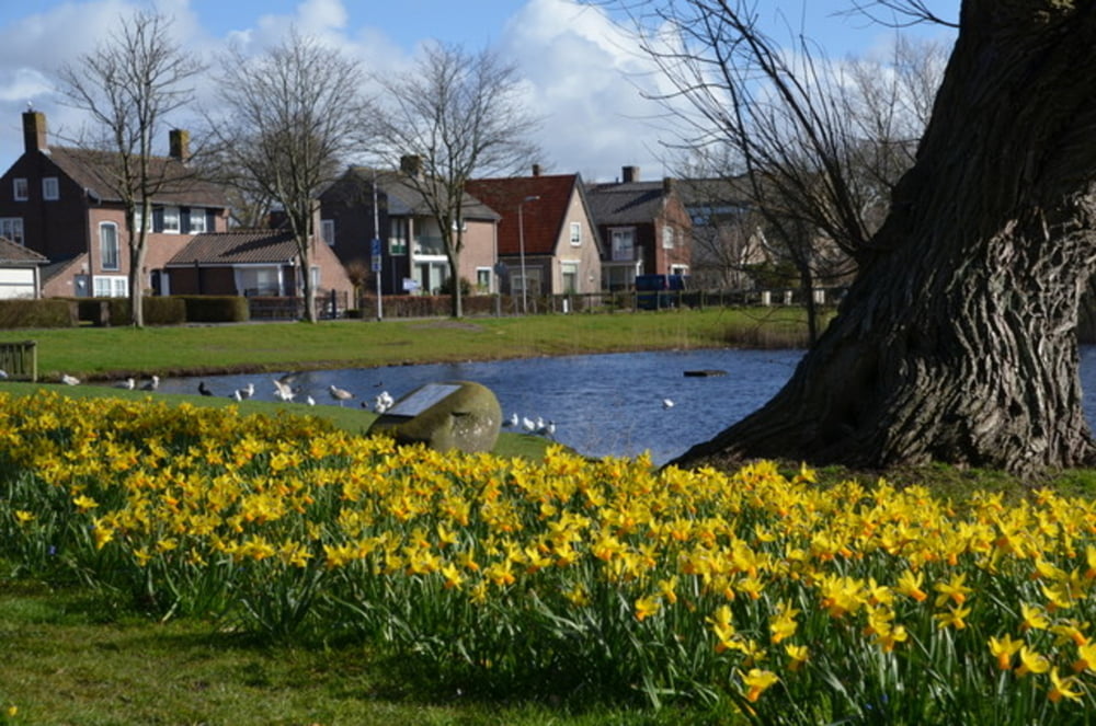 Den Burg - Oudeschild-Veerhaven