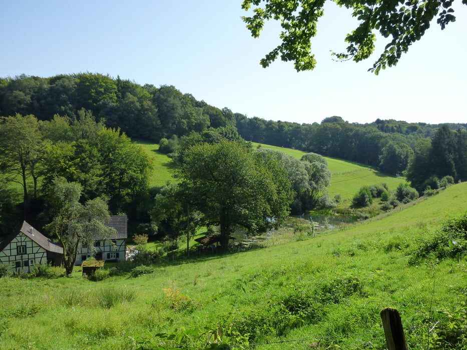 Schöllerhof-Schmeisig- Kochshof-Schöllerhof