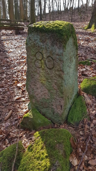 Grenzstein am Hohlen Stein