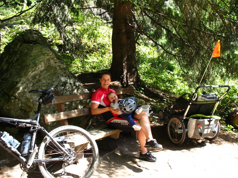 2011-08-31 CHAMONIX LeTour via petit balcon nord -  chariot