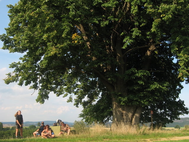 Elbsansteingebirge südlich von Krippen