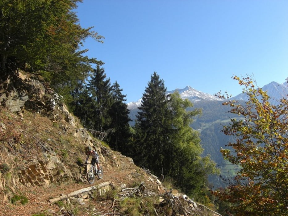 Algund Longfallhof