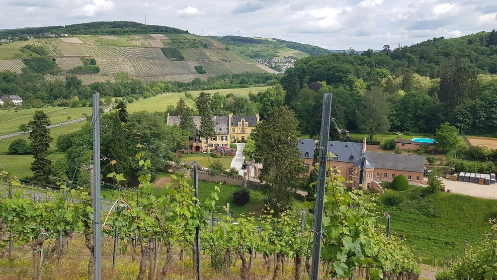 Mertesdorf rund um den Grüneberg