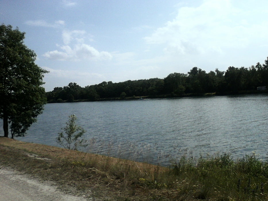 Durch den Wald bei Breisach