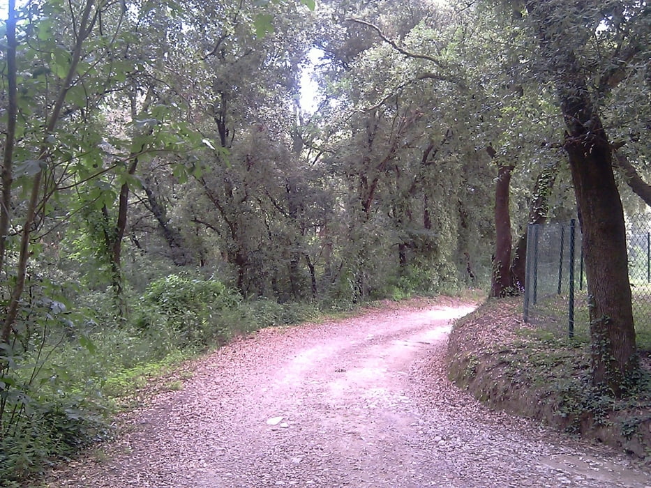 Westlich von Banyoles