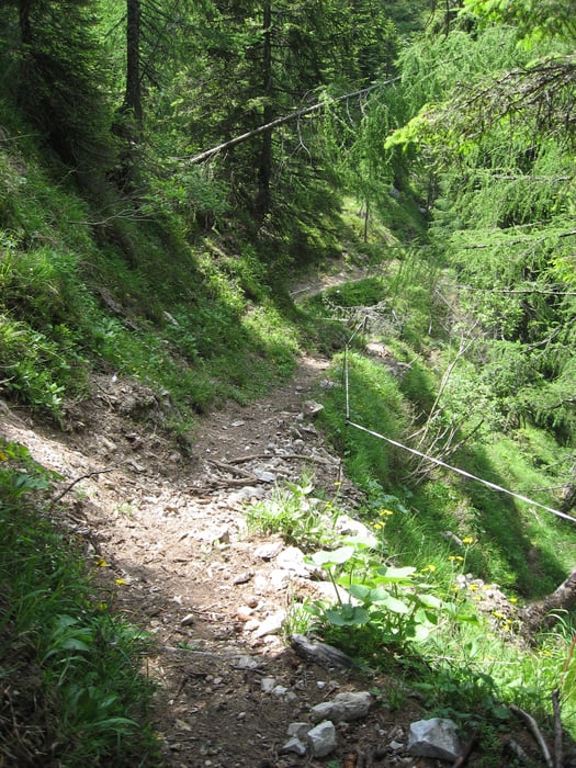 Obervellacher Alm Trail R#248 und Radniger Alm Trail R#246