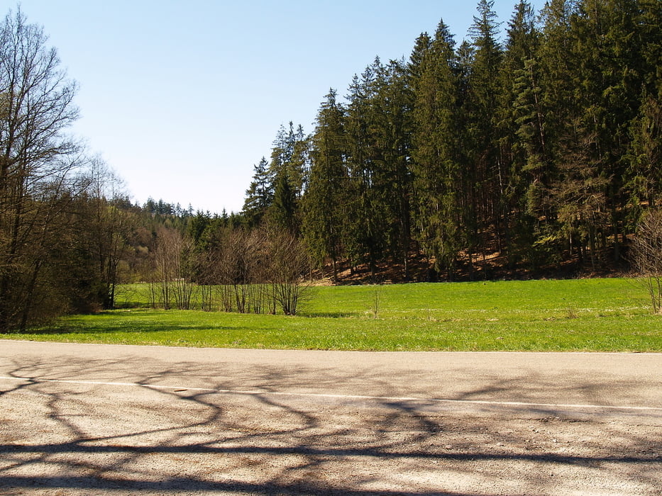 Ride to the Lake
