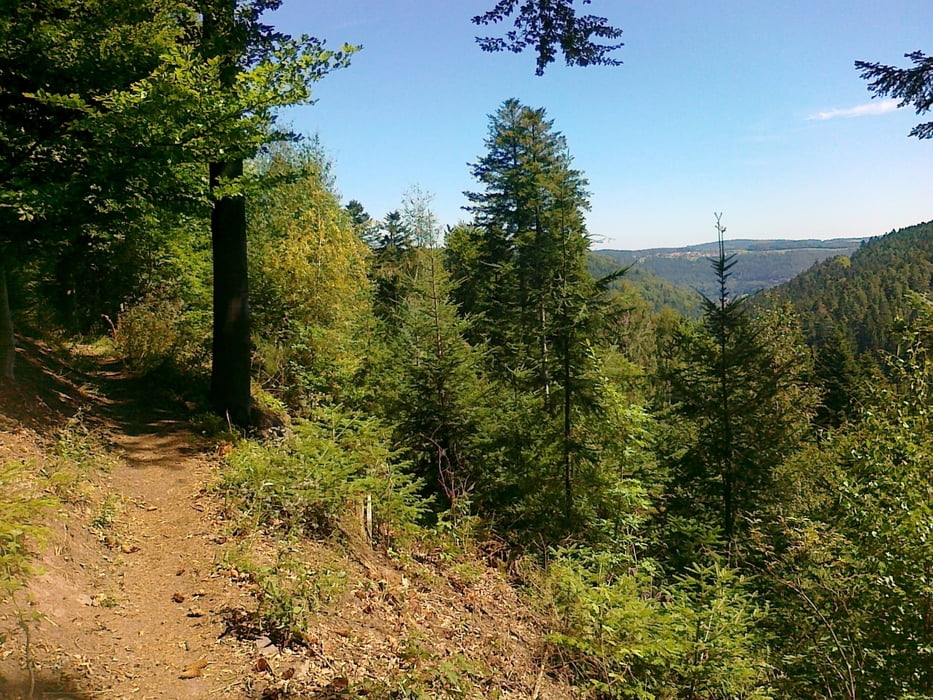 Um Bad Liebenzell und Hirsau herum mit Trails