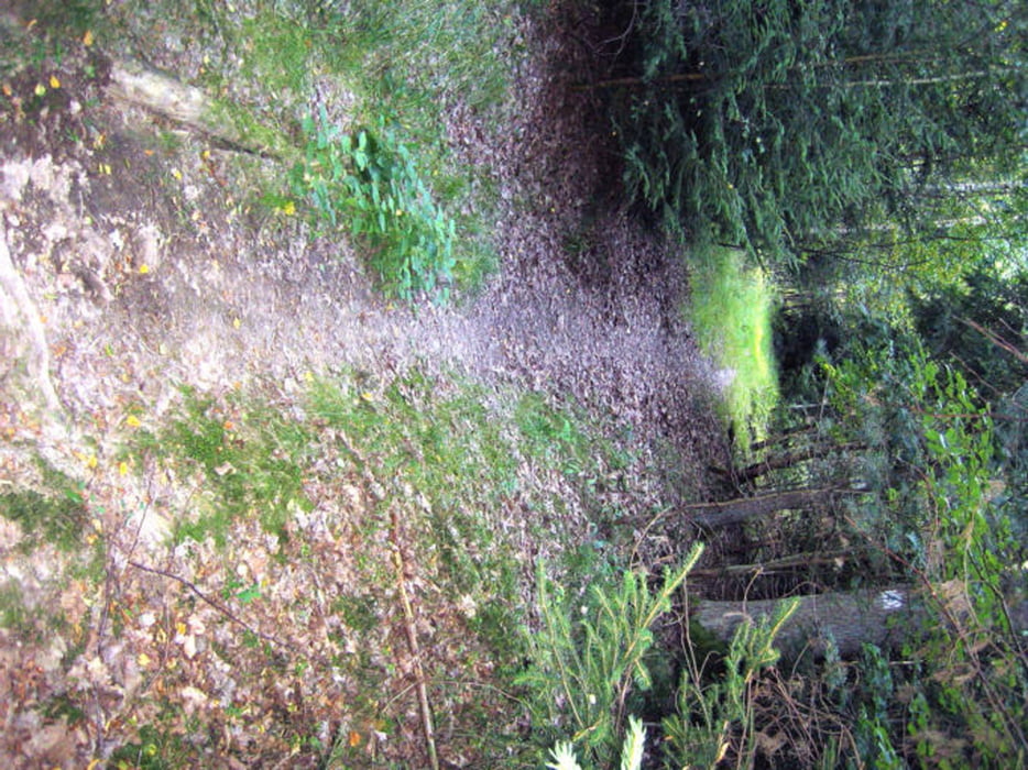 rund um Seßlach