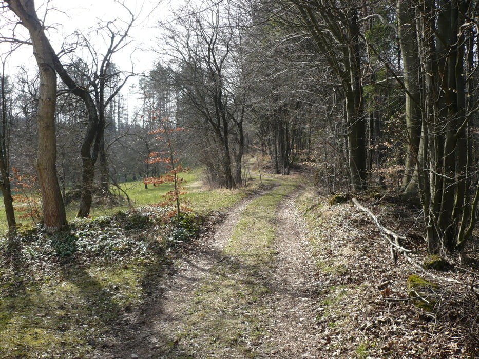 Tour ab Gräfenberg mit Trails und 9 Serpentinen