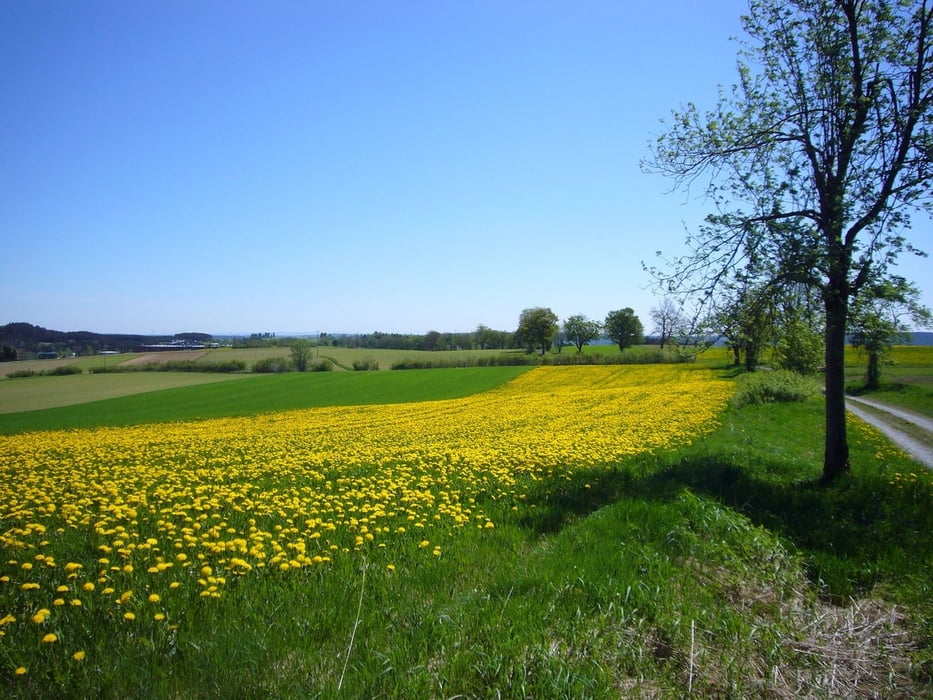 Schöne Frankenwaldrunde
