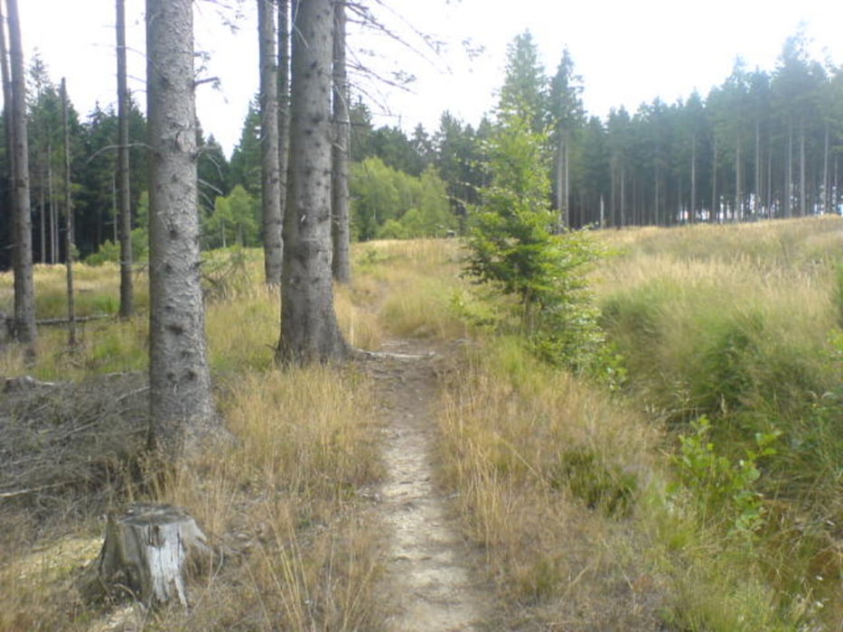 Rund um Simmerath