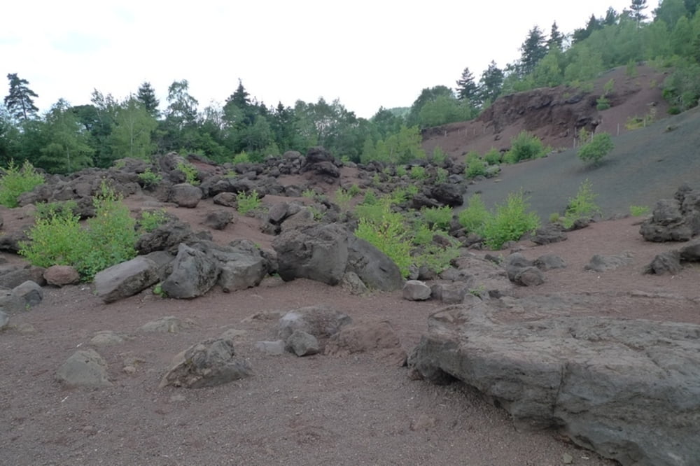 Maison du Parc des Volcans-Puy de Lassolas-Puy de la Vache-Maison du Parc des Volcans