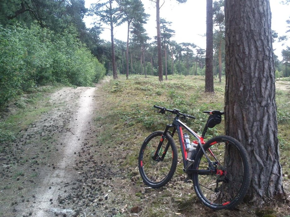 MTB Maasduinen (Well, Wellerlooi & Arcen)