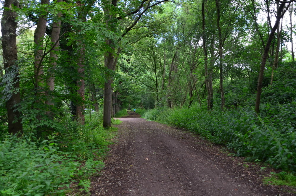 natuurgebied zwart water