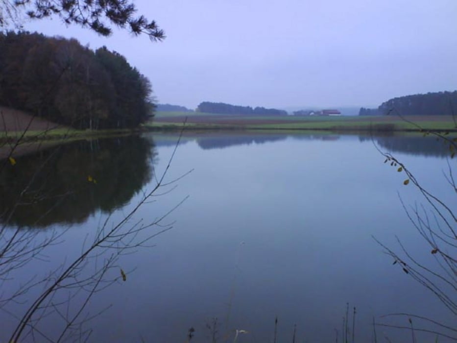 Fischgrundweg