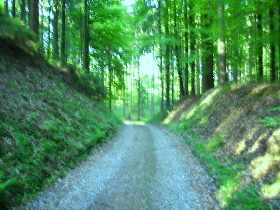 Steinberg - Golfplatz Reischenhof