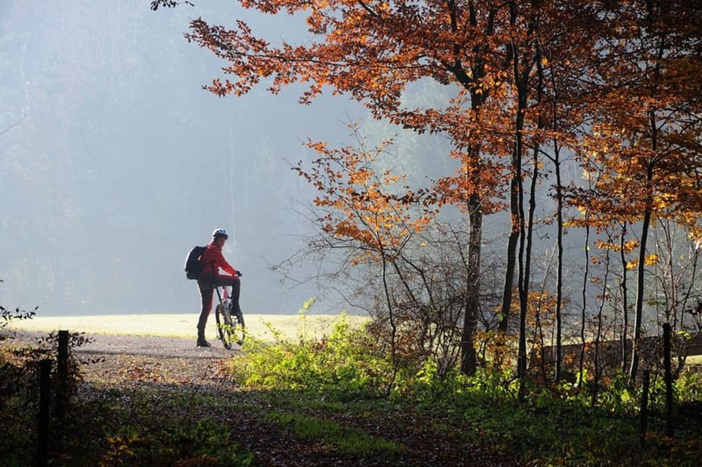 MTB Amberger Ringweg Gelbkreis