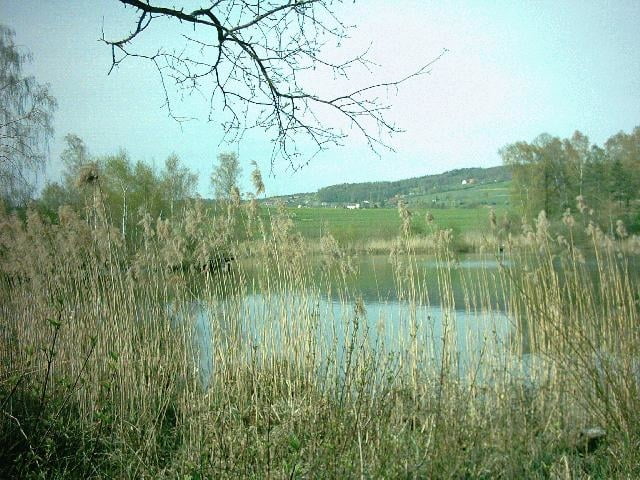 Seerücken-Seebachtal