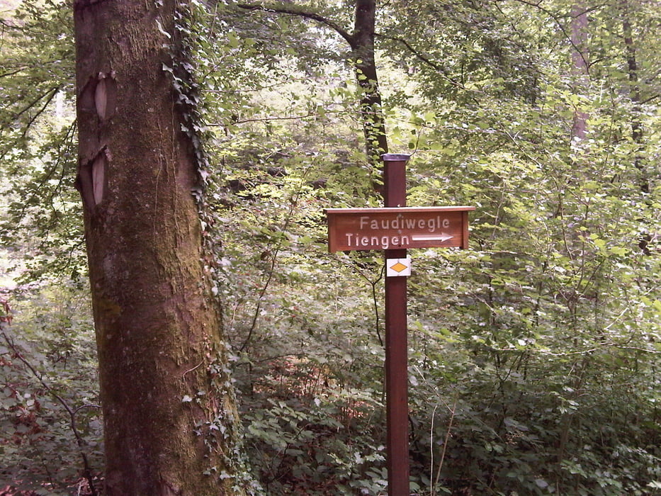 Faudiwegle Tiengen Hochrhein langer Singletrail / Flowtrail