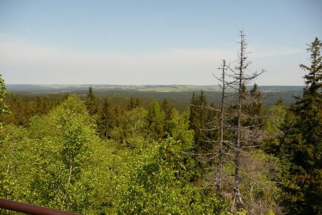 Vysocina_Krizanky_Heralec