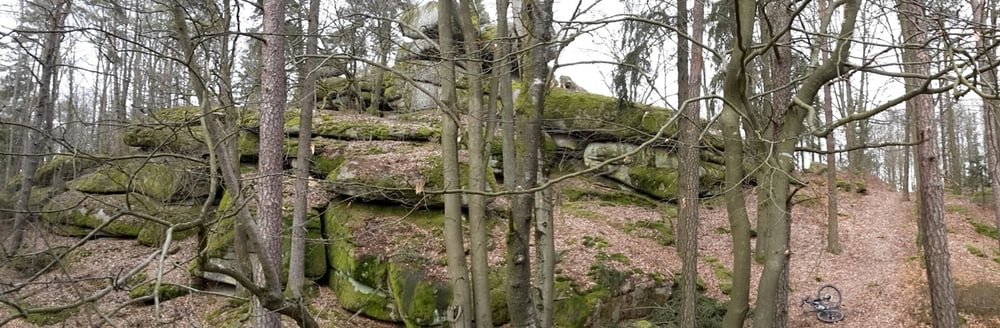 Naturdenkmäler um Schillertswiesen