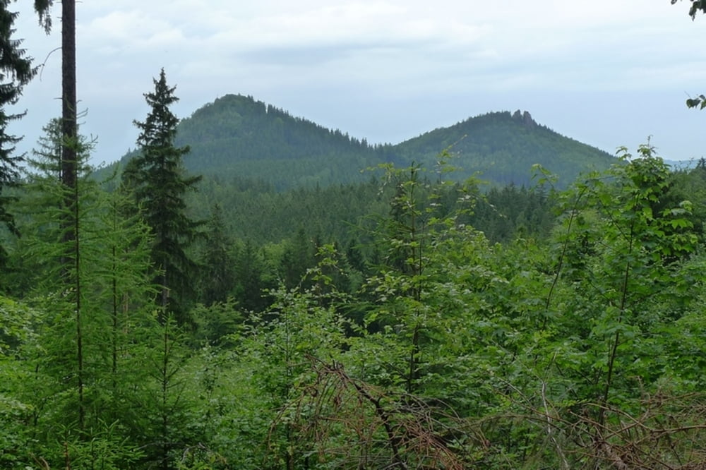 Przełęcz Karpnicka-Sokoliki-Lwia Góra-Przełęcz Karpnicka