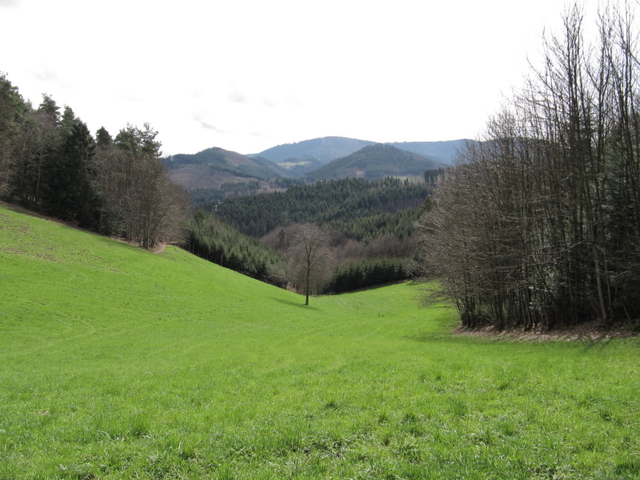 Oberkirch - Geigerskopf