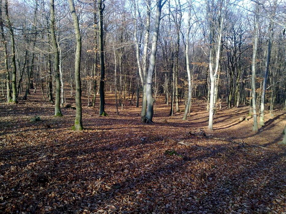 Geißbühelstrecke