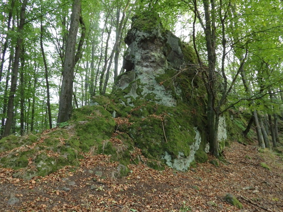 23/2018.Žitava-Háj