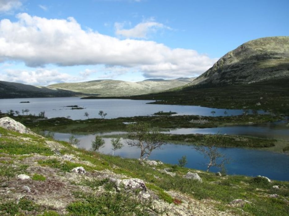 Wanderung in der Femundsmarka