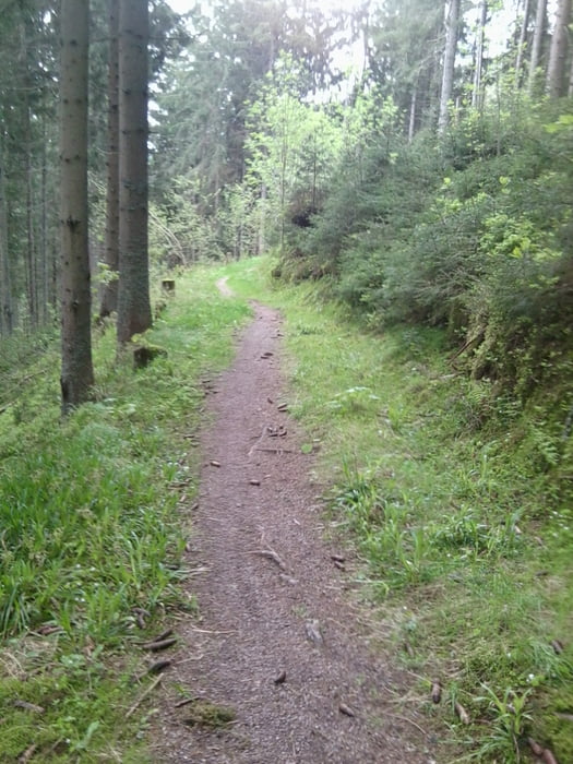 Titisee-Neustadt über Freiburg  nach Breisach