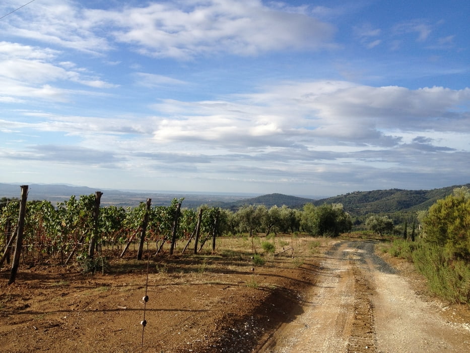 San Vincenzo - Suvereto - Campiglia