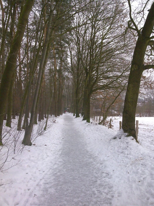-10°C Frosty - Tricky - Trails im Hamburger Norden