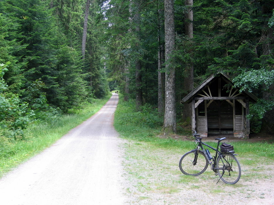 Baiersbronn Kniebis Zwieselberg und zurück