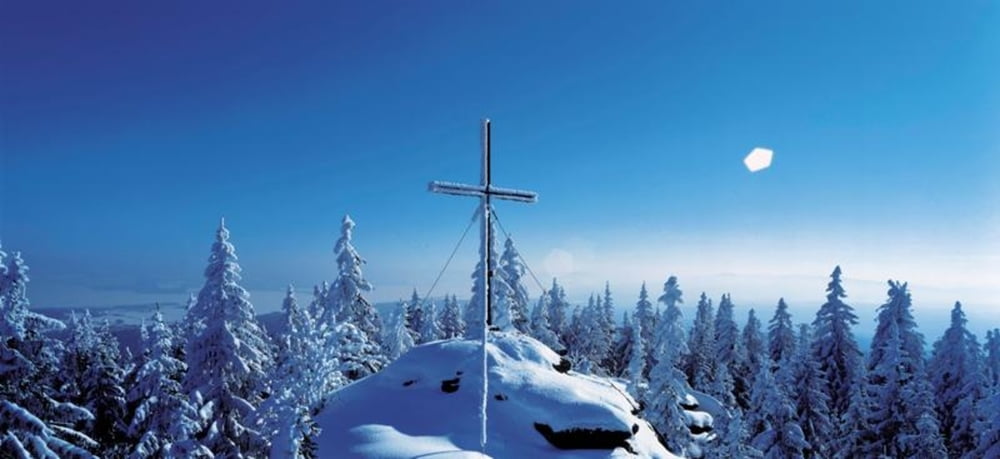 Schneeschuhtour: Grünwald-Bärenstein