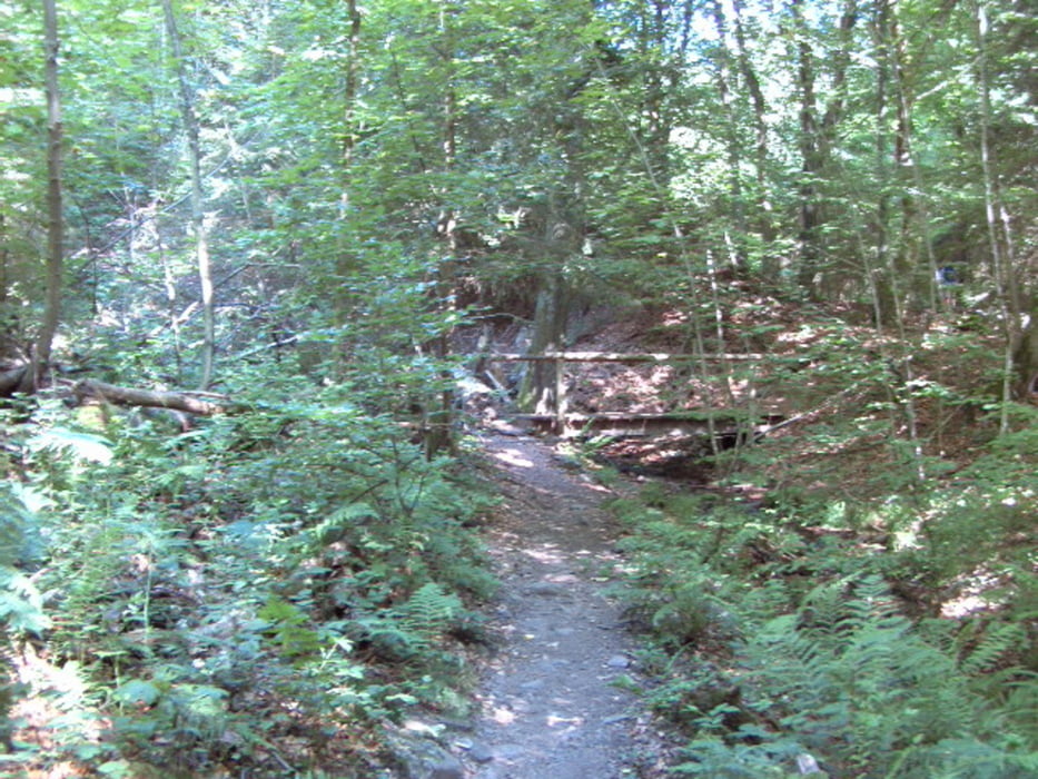 Kupferbergrunde1.