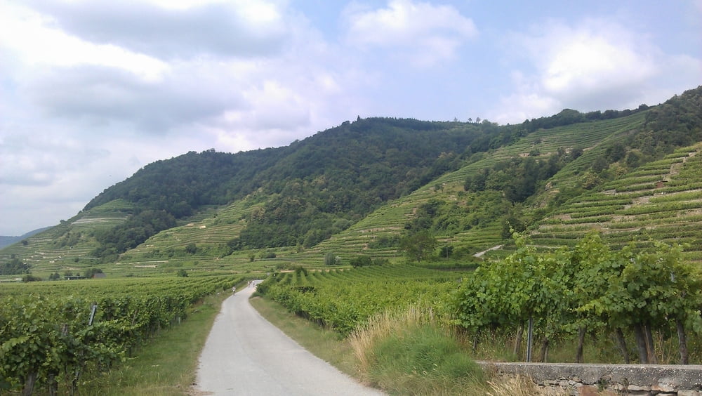 Wachau-Waldviertel