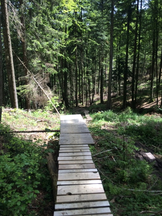 Schwarzenberg Trail