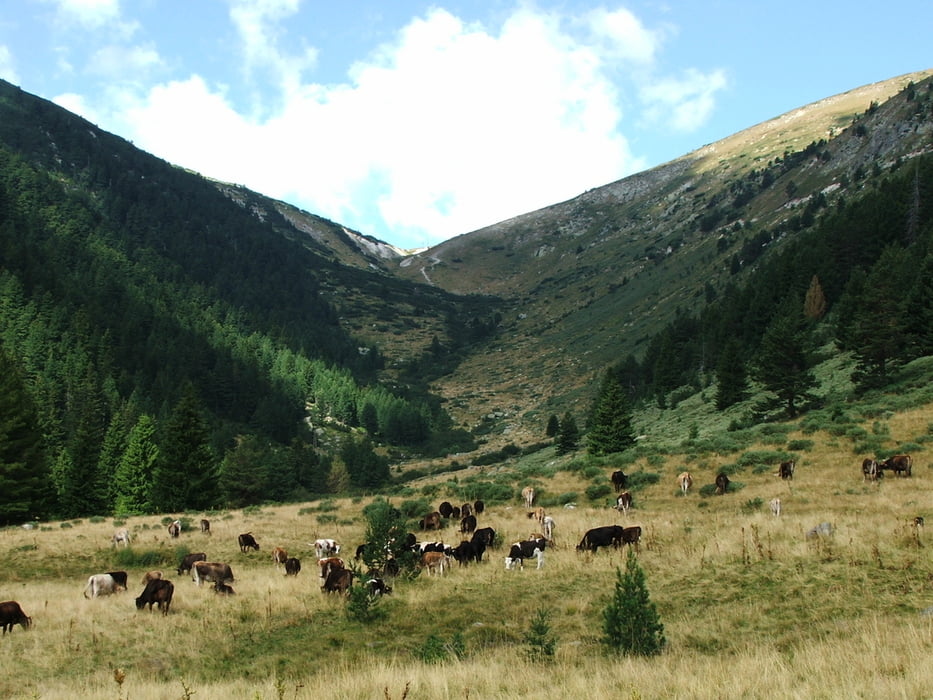 Bulgarien: Rila-Gebirge (4)
