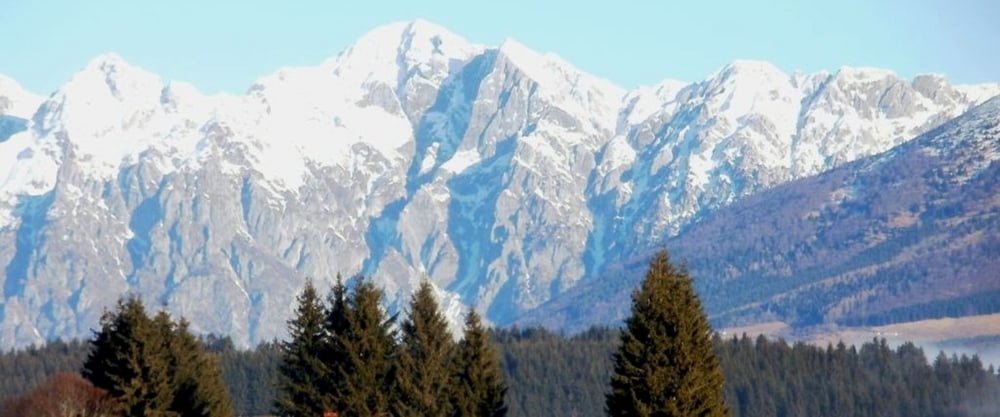 Sentiero degli Slipari (Pian Cansiglio - Alpago)