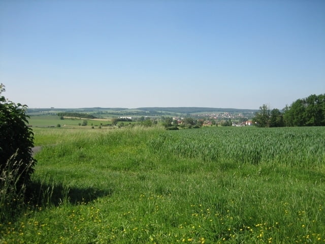 Steigerwald (Bamberg)