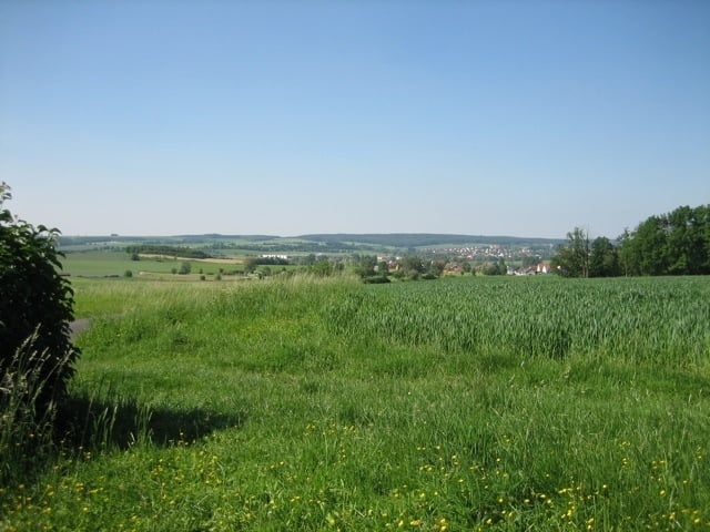 Steigerwald (Bamberg)